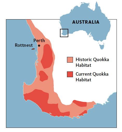 quokka habitat map|where are quokkas found.
